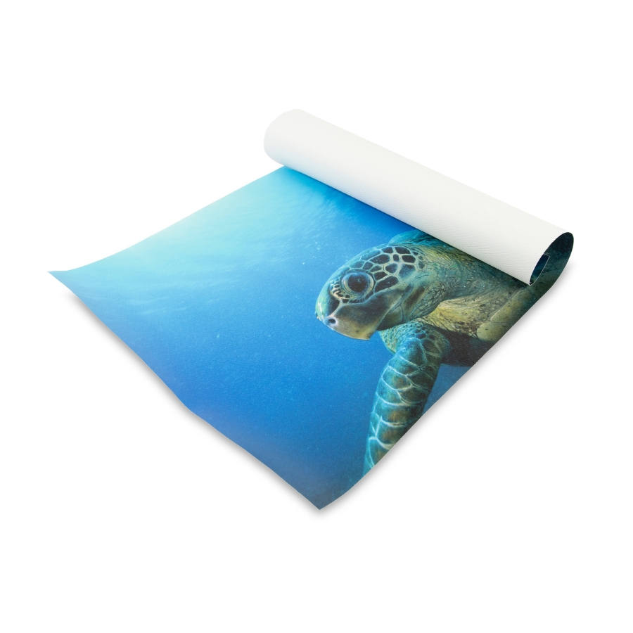Rolled Canvas Printing Services