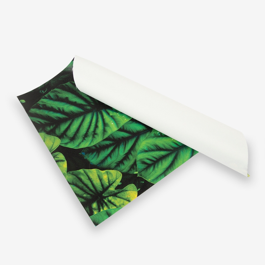 Rolled Canvas Printing Services