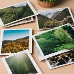 Standard Photo Printing Service